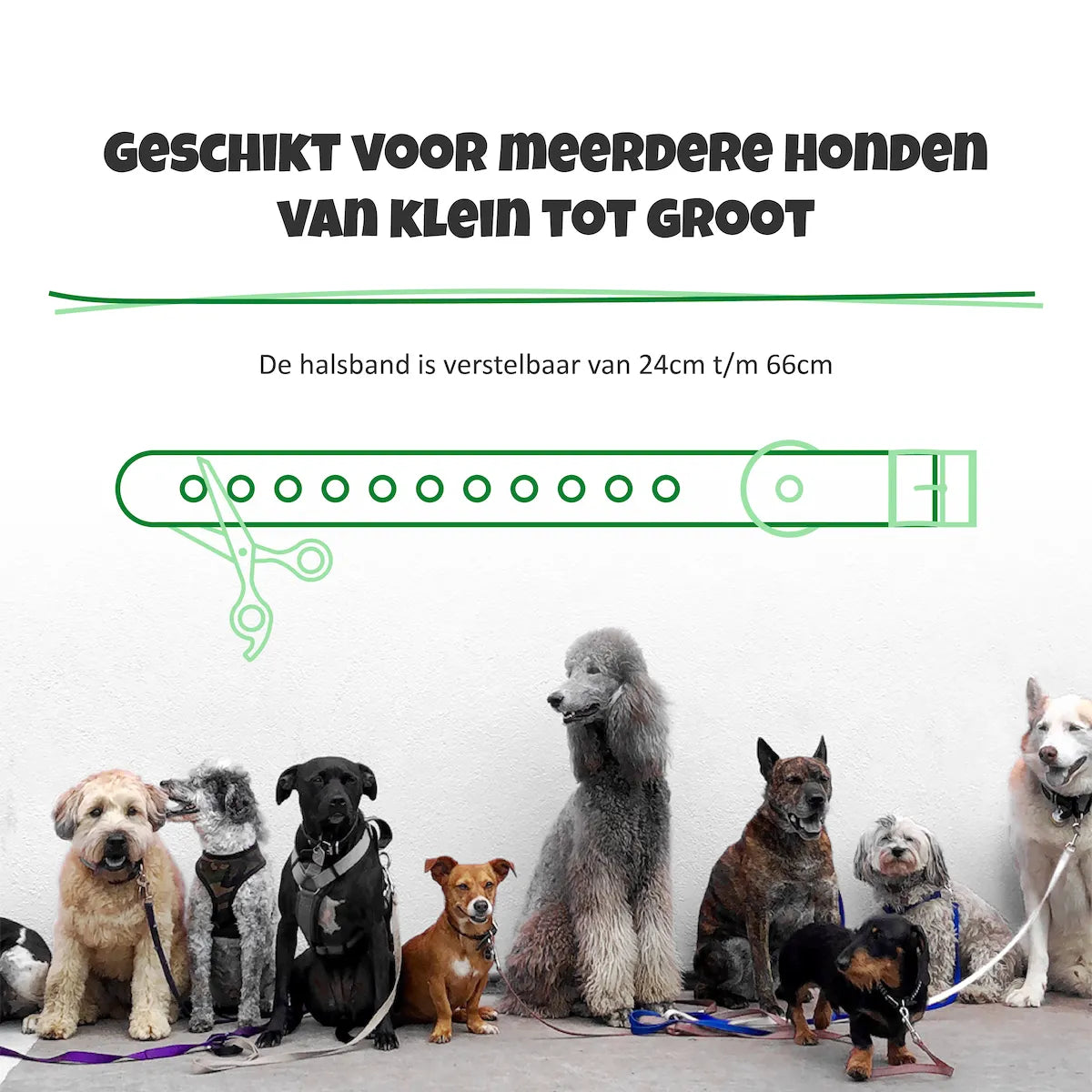 SelectedPets Anti blafband band verstelbaar