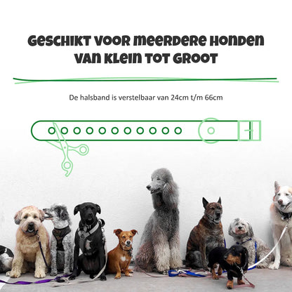 SelectedPets Anti blafband band verstelbaar