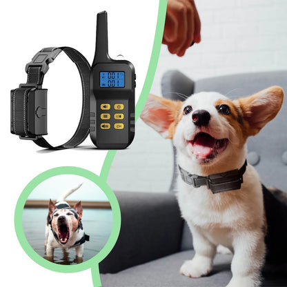 SelectedPets Anti blafband lifestyle foto